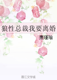 狼性总裁我要离婚